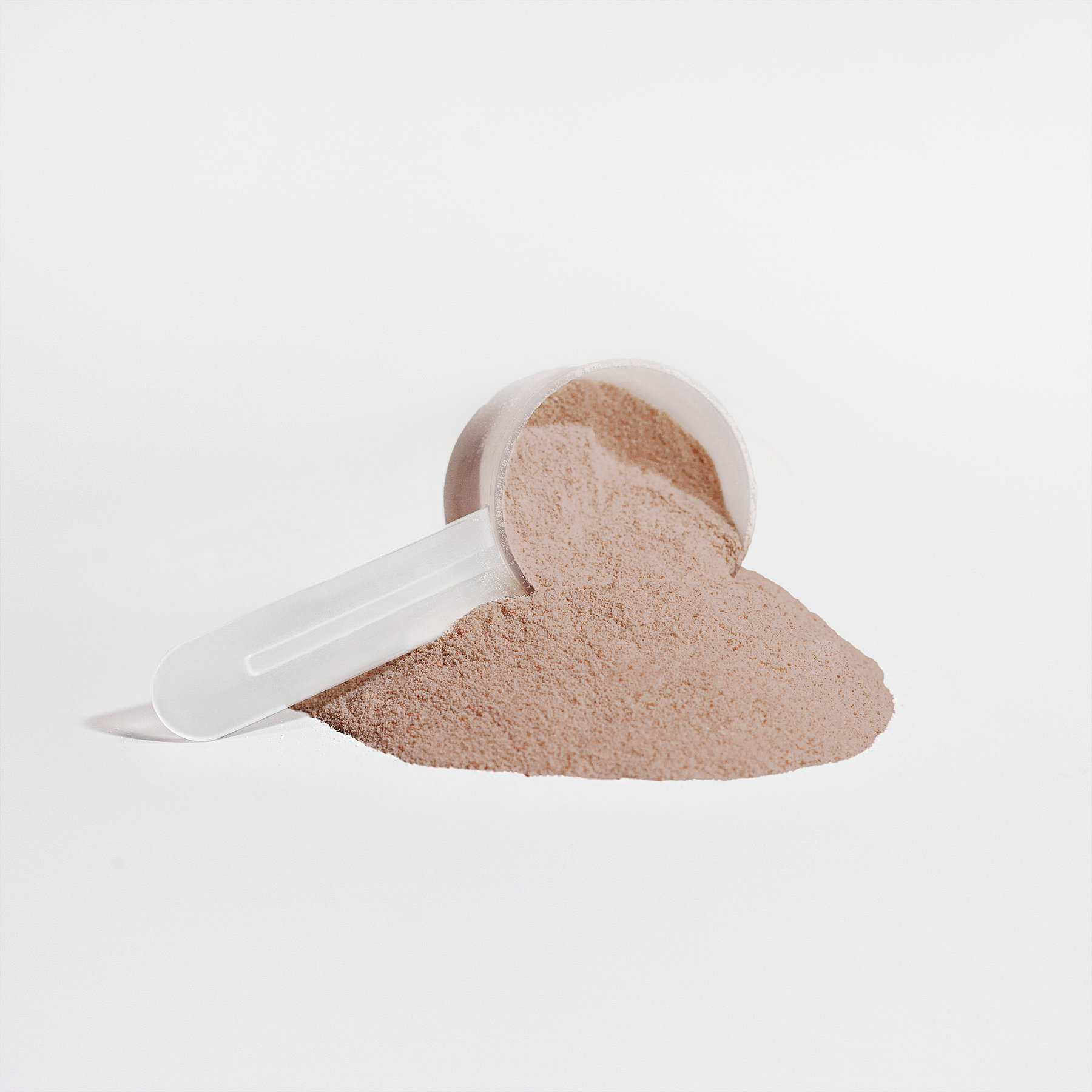 Plant Protein Chocolate 21g Protein, Muscle Recovery, Weight Management, And Digestive Support - Imagen 2