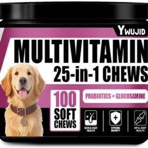 25 In 1 Immune Supplement