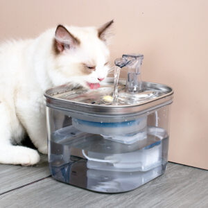 Dispensador de agua inteligente